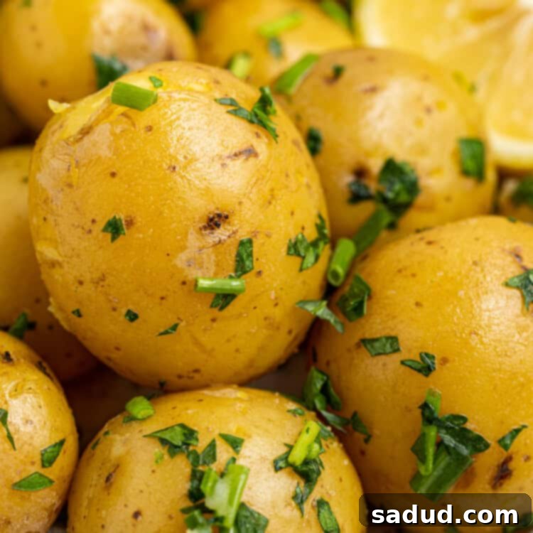 Aromatic Herbed Steamed Potatoes 4 Close-up image of beautifully steamed baby potatoes on a plate, garnished with fresh herbs and a lemon wedge, highlighting their soft, buttery texture.