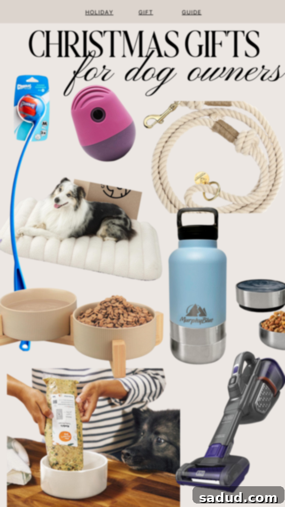 Holiday gift guide for dog owners.