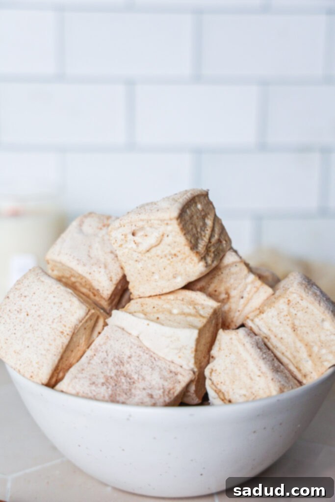 Close-up of freshly cut homemade snickerdoodle marshmallows, dusted with cinnamon sugar