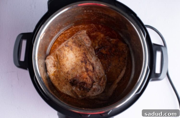 Flank steak in marinade in an Instant Pot