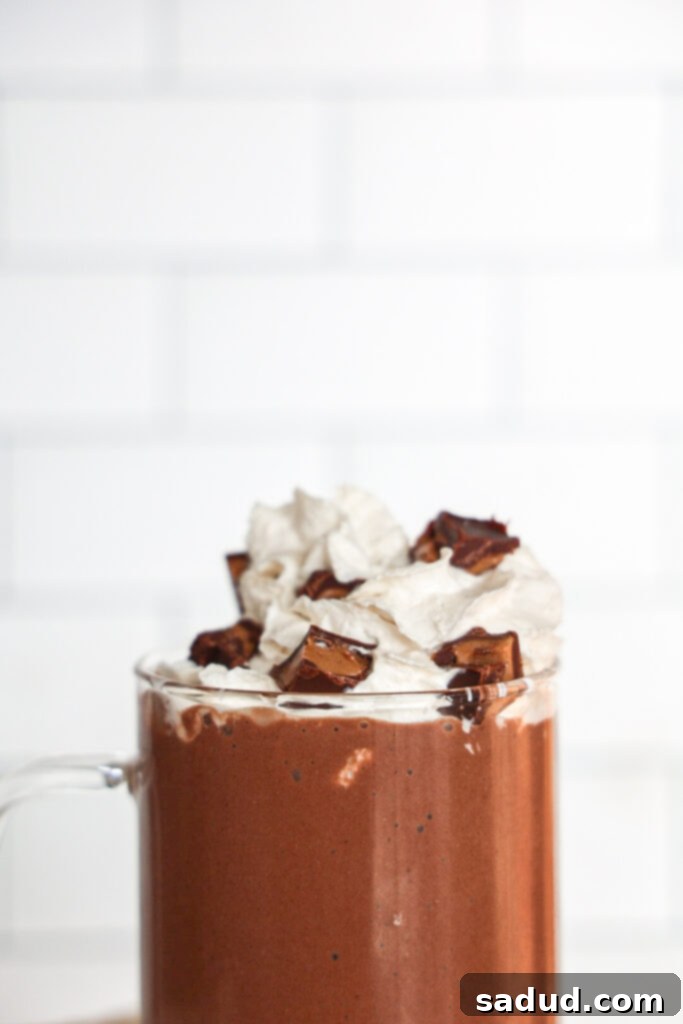 chocolate banana peanut butter protein shake