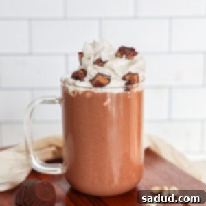 Chocolate Banana Peanut Butter Protein Shake