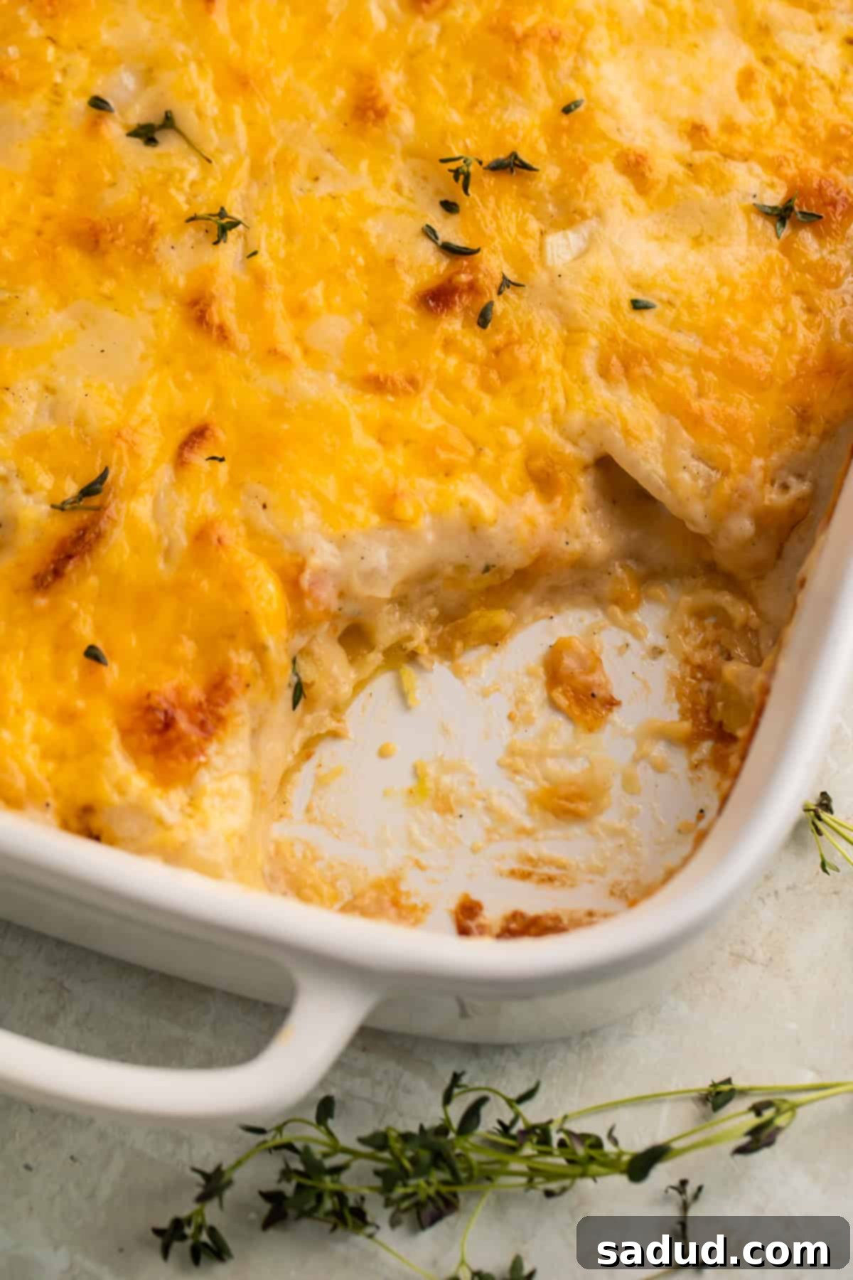 Close up of a dish of scalloped potatoes with a spoonful taken out to show the middle, showcasing creamy layers and melted cheese.