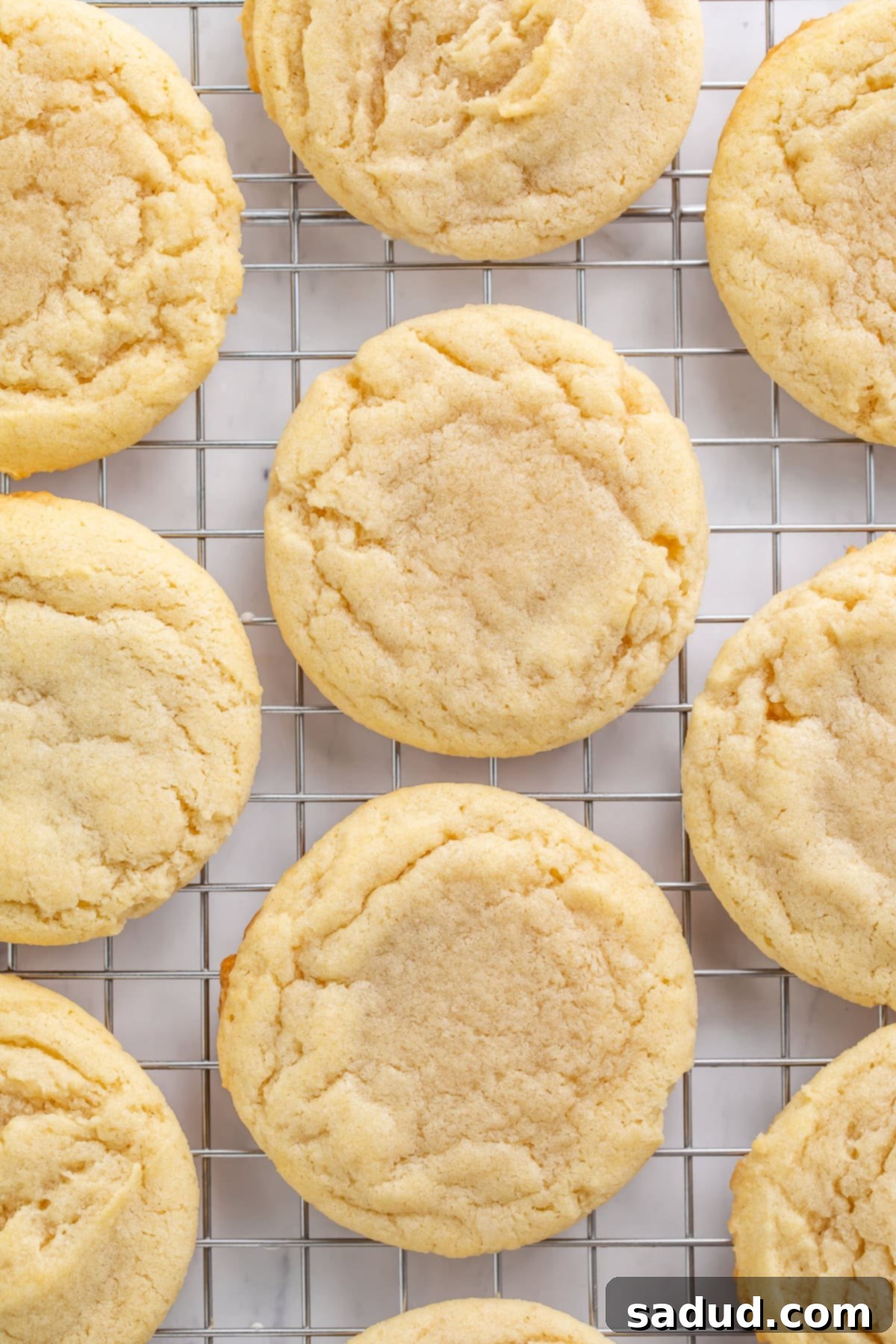 Freshly baked vegan sugar cookies arranged neatly on a wire cooling rack, showcasing their perfectly round shapes.