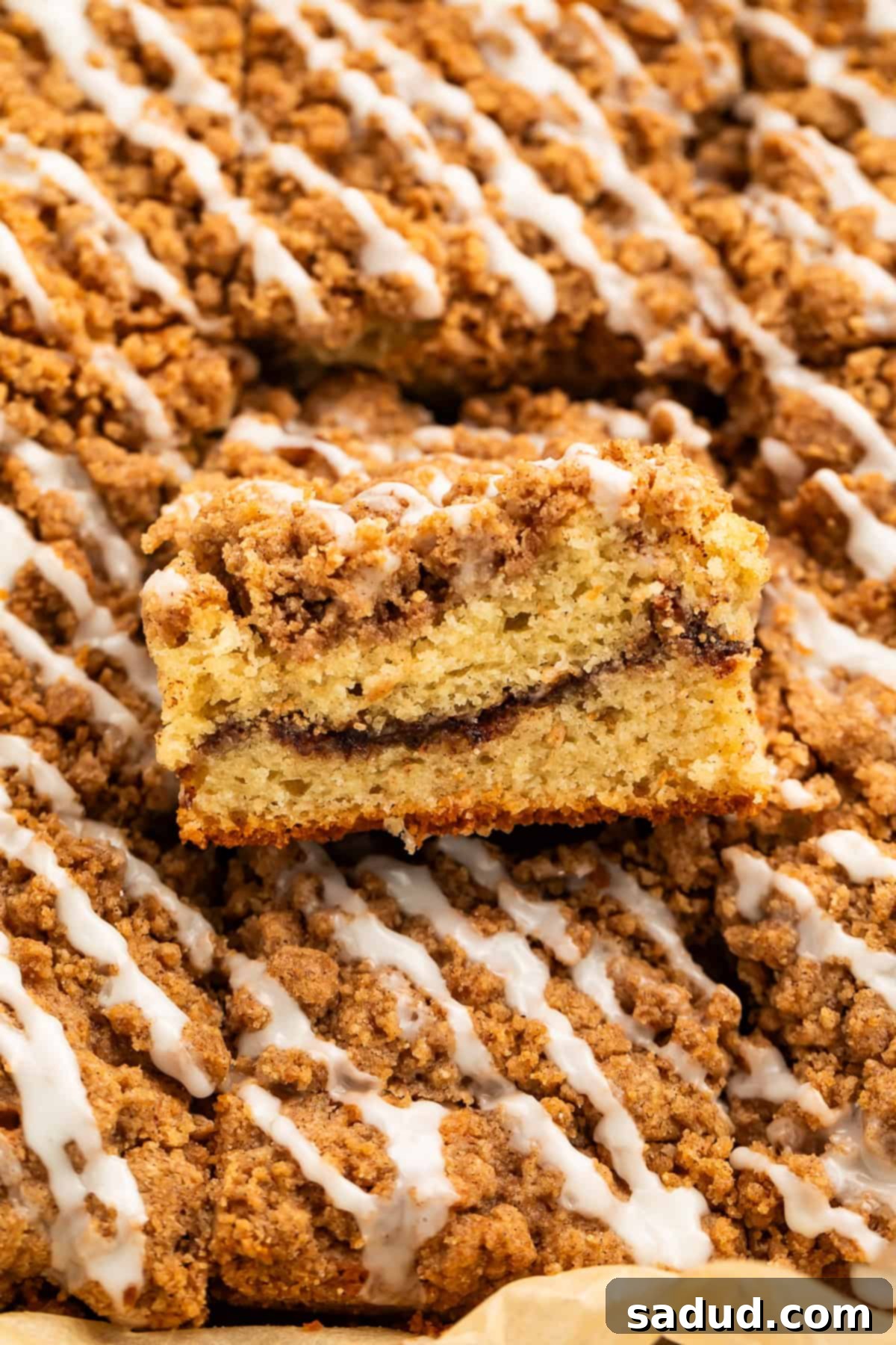 Gluten-Free Coffee Cake Bliss 2 Close up of a piece taken out of a coffee cake to show the swirl in the middle.