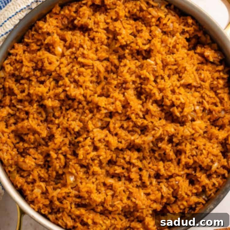 Pan of seasoned rice with a blue and white kitchen towel on one side.